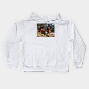 Scottish Highland Cattle Cow and Calf 1966 Kids Hoodie